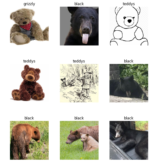 bearsshow.png